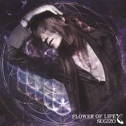 FLOWER OF LIFE(DVD付)