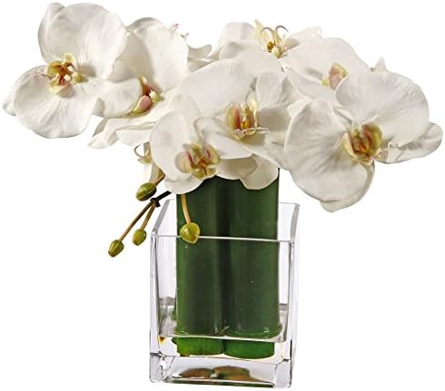 Phalaenopsis & Bamboo in Glass 12" Tall White