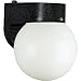 Progress Lighting P5816-31EB 1-Light Polycarbonate Lantern with Photo Cell, Black