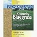 Outdoor Living : Barenbrug USA 50208 Kentucky Bluegrass Grass Seed