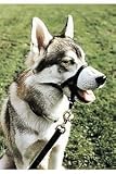 Halti Head Collar - Size 5