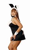 Dreamgirl Women's Fantasy Wear Plus Size Bunny
