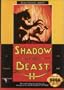 Shadow of the Beast 2