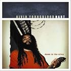 Down in the Alley by  Alvin Youngblood Hart 