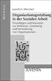 Organisationsgestaltung in der Sozialen Arbeit: Grundlagen und Konzepte zur Reflexion, Gestaltung und Ver&auml;nderung von Organisationen (Reihe Votum) - Joachim Merchel