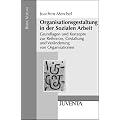 Organisationsgestaltung in der Sozialen Arbeit: Grundlagen und Konzepte zur Reflexion, Gestaltung und Ver�nderung von Organisationen (Reihe Votum)
