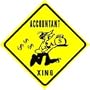 ACCOUNTANT CROSSING invest tax money sign