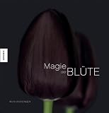 Magie der Bluete
