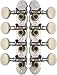 MANDOLIN TUNERS/ NICKEL