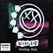 Blink 182 Picture 16