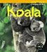 Book Koala (Animals in Danger)
