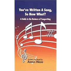 You've Written A Song, So Now What? A Guide to the Business of Songwriting for Songwriters, Musicians and Recording Artists