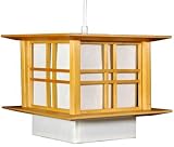 Inexpensive Overhead Lighting Light - 10