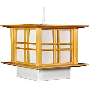 Inexpensive Overhead Lighting Light - 10