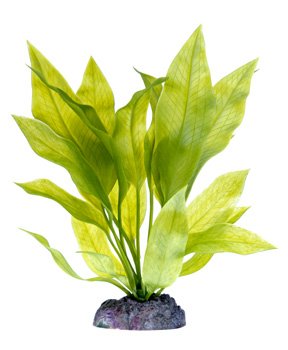 22 inch Artificial Amazon Sword Plant with Heavy Weight Base