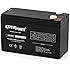 ExpertPower EXP1290 12 Volt 9 Amp Rechargeable battery