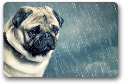 Cool Door Mat Washable Doormat Pug In The Rain Cute Dog Watching Animals 23.6"(L)x15.7"(W) 3/16"
