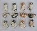 12 Piece Cat Magnet Set