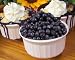 Wild Alaska Blueberries