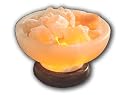 Large Himalayan Salt Crystal Prosperity Bowl Lamp 8-10Lbs Pounds