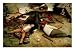 Land of Cockaigne, 1567 Art Giclee Poster Print by Pieter Bruegel the Elder, 12x9