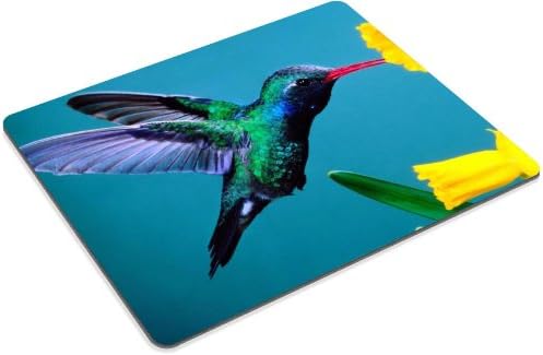 Hummingbird beautiful colors plant bird flight nectar yellow petals Mouse Pads Customized Made to Order Support Ready 9 7/8 Inch (250mm) X 7 7/8 Inch (200mm) X 1/16 Inch (2mm) High Quality Eco Friendly Cloth with Neoprene Rubber Liil Mouse Pad Desktop Mousepad Laptop Mousepads Comfortable Computer Mouse Mat Cute Gaming Mouse_pad