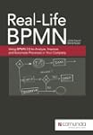 Real-Life BPMN