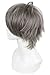 ROLECOS Mens Short Straight Anime Cosplay Wigs Fluffy Synthetic Hair Wig Grey JF532