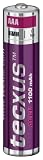 Tecxus NiMh Akku Micro (1,2V, 1100mAh) 2 St&uuml;ck