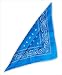 Vagant Bandana