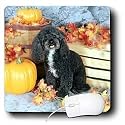 Dogs Poodle - Toy Poodle Black - Mouse Pads