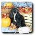 poodle24  - Dogs Poodle Toy Poodle Black Mouse Pads