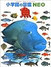 魚