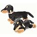 Dachshund Puppy American Kennel Club Licensed Replica by Steiff