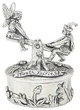 Pewter Box - Tooth Fairies on Seesaw