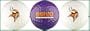 Minnesota Vikings Golf Balls 3 Piece Gift Set with NFL Football Team Logos