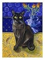 Burmese Cat, Series I Fine Art Giclee Poster Print by Isy Ochoa, 12x16