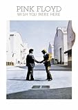 Pink Floyd (Wish You Were Here, Man on Fire) Music Poster Print - 24 X 36