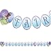 All Products : Princess and the Frog Banner 8ft