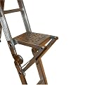 Xtend & Climb Ladder Platform/Step