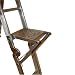 Xtend & Climb Ladder Platform/Step