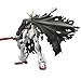 Bandai Spirits Hobby RG 1/144 #31 Crossbone Gundam X1 Crossbone Gundam Figure Building Kits, White