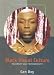 Black Visual Culture: Modernity and Post-Modernity