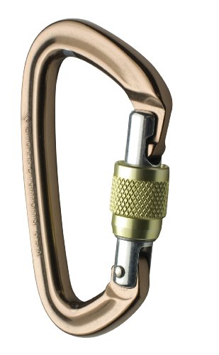 Positron Carabiner - Screwgate by Black Diamond