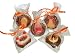 Ghoulish Body Parts Cookies - Milk Chocolate