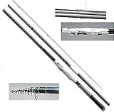 ダイワ(Daiwa) トーナメント 制覇(チューブラー穂先タイプ) 2号-5.3m-HR 06574850