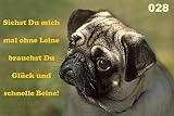 Metall - Warnschild Mops