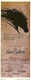  : Black Stallion 14 x 36 (approx.) Poster