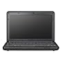 Samsung N130 10.1 inch Netbook (Atom N270 1.6GHz Processor, 1GB RAM, 160GB HDD, up to 6 Hour Battery Life , XP Home, Black)
