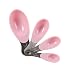 Ciroa Miniamo Pastels Set of Four Pink Measuring Spoons